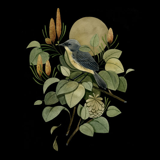 'Last Chance to See: Kirtland's Warbler' <br> by Maggie Chiang